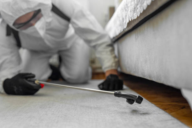 Professional Pest Control technician working in Garden City South, NY