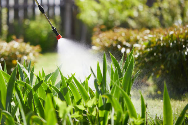 24/7 Emergency Emergency Pest Control experts in Garden City South, NY