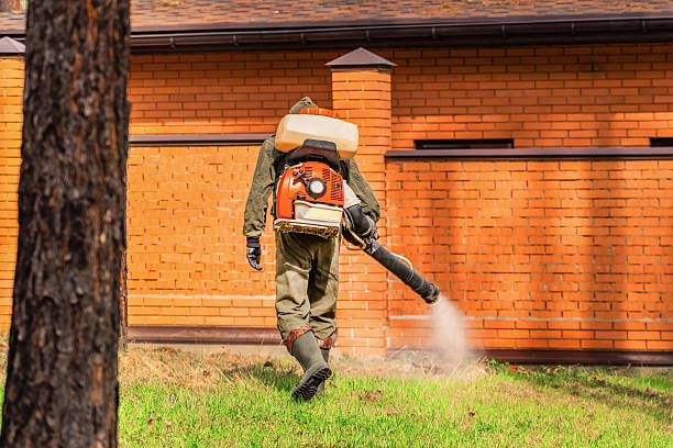 Trusted Ant Control service in Garden City South, NY - Nex Pest Control